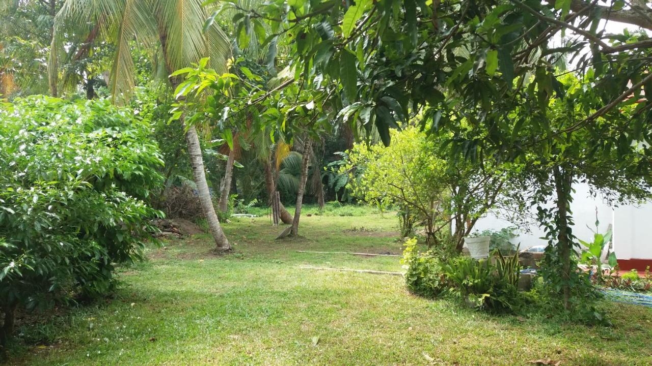 Glorious Villa Tangalle Exterior photo